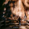 Kings canyon et Sequoia 26